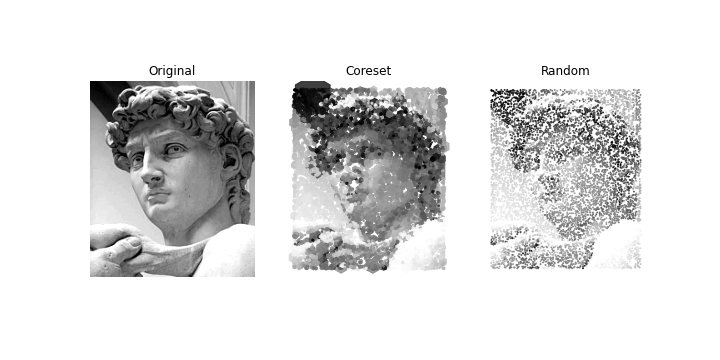 _images/david_coreset.png