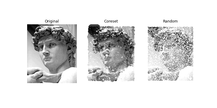 _images/david_coreset.png