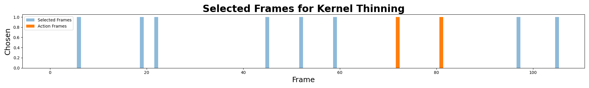 Plot shows Kernel Thinning selecting 2 action frames.