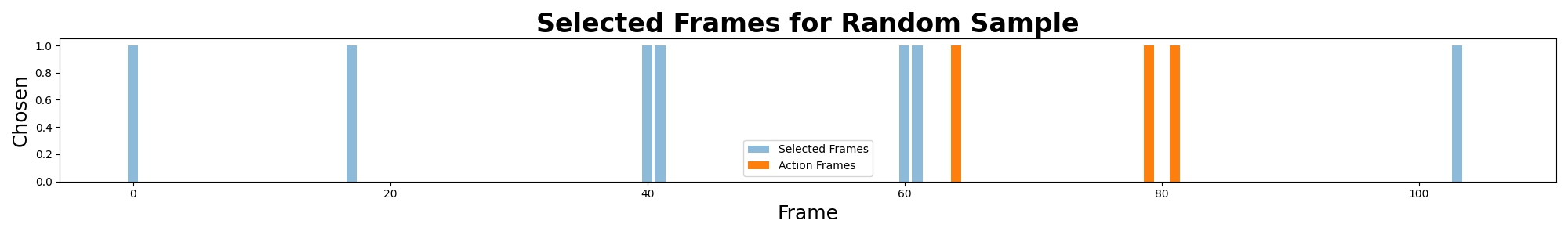 Plot shows Random Sample selecting 3 action frames.